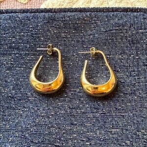 Elegant Gold Hoop Earrings